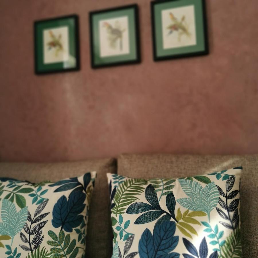 A Pousada Teddy Pirate - Coliving Taghazout Exterior foto